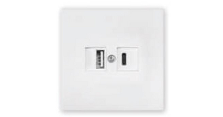 Розетка с двумя USB-разъемами (скрытая, узел) белая, Carre BYLECTRICA