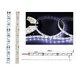 LED лента силикон, 10 мм, IP65, SMD 5050, 60 LED/m, 12 V, БЕЛАЯ (6000 K) (катушка 5 метров) LAMPER